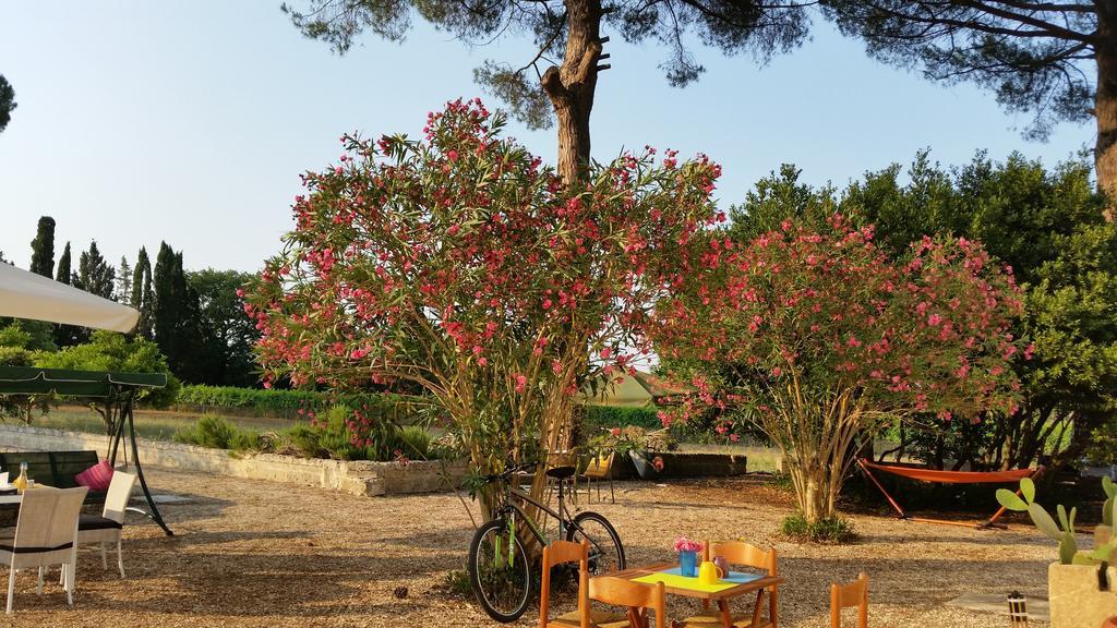 Agriturismo Occhineri Porto Cesareo Exterior photo