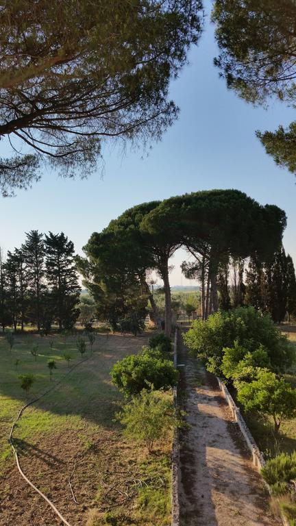 Agriturismo Occhineri Porto Cesareo Exterior photo