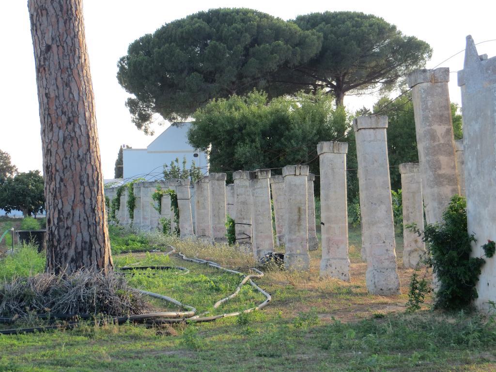 Agriturismo Occhineri Porto Cesareo Exterior photo