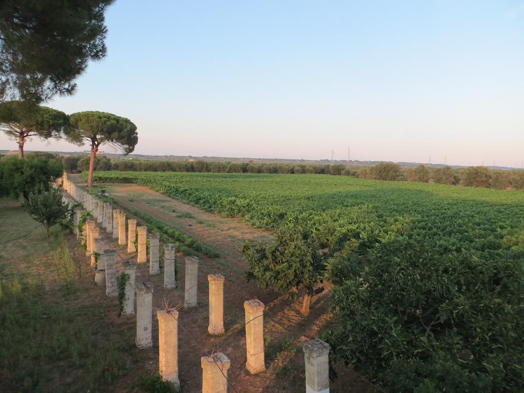 Agriturismo Occhineri Porto Cesareo Exterior photo