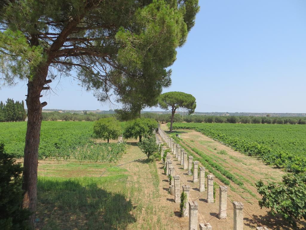 Agriturismo Occhineri Porto Cesareo Exterior photo